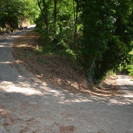 A'Loro B&B Terranuova Bracciolini Eksteriør bilde