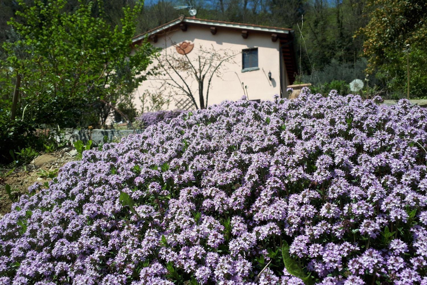 A'Loro B&B Terranuova Bracciolini Eksteriør bilde